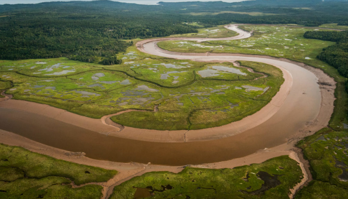 Musquash Estuary