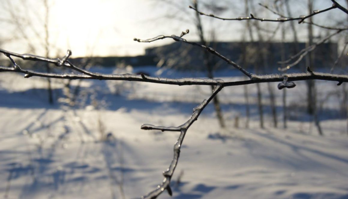 HardingH_10Winter_Header