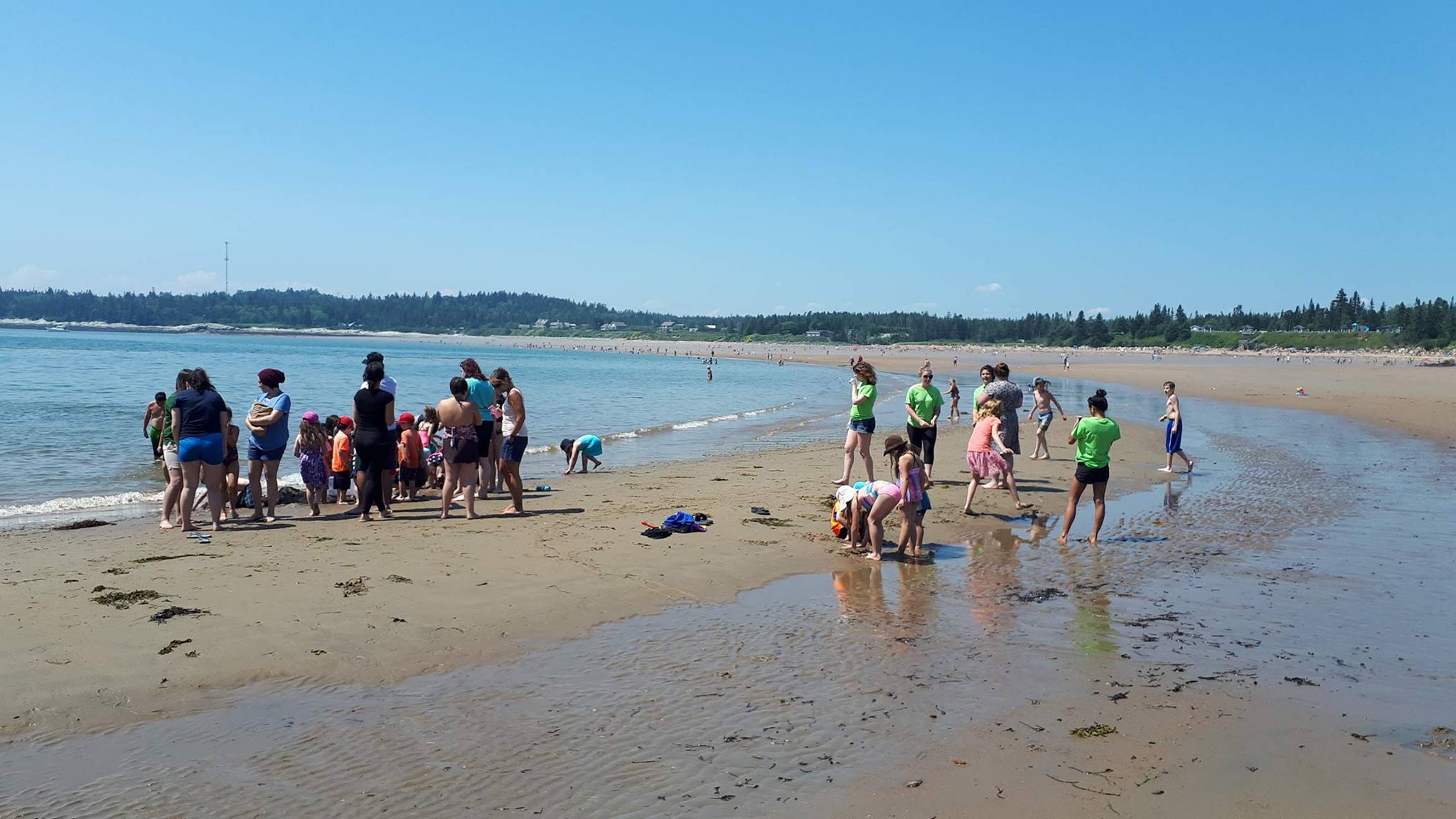 ReimerJ_NatureHealth_Header