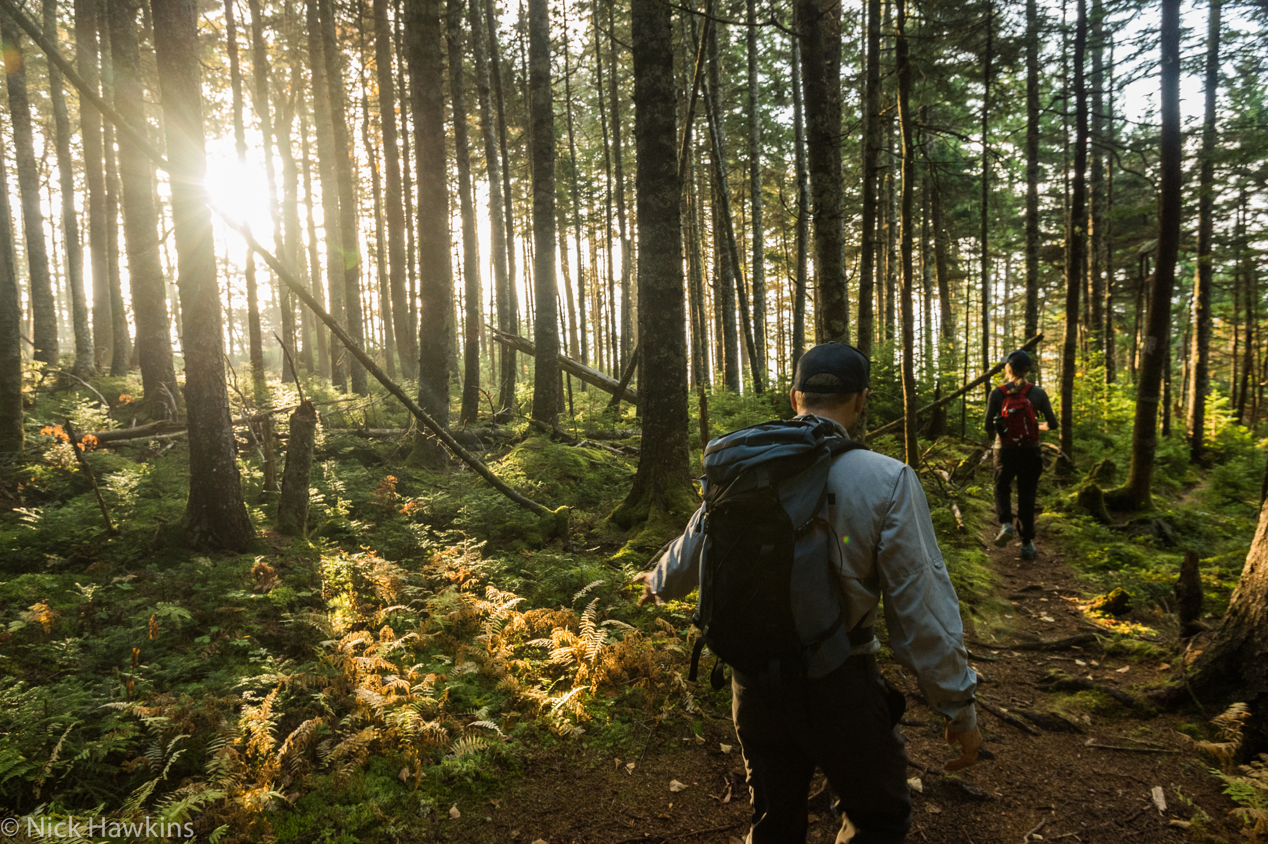 ReimerJ_EcoAnxiety_Header