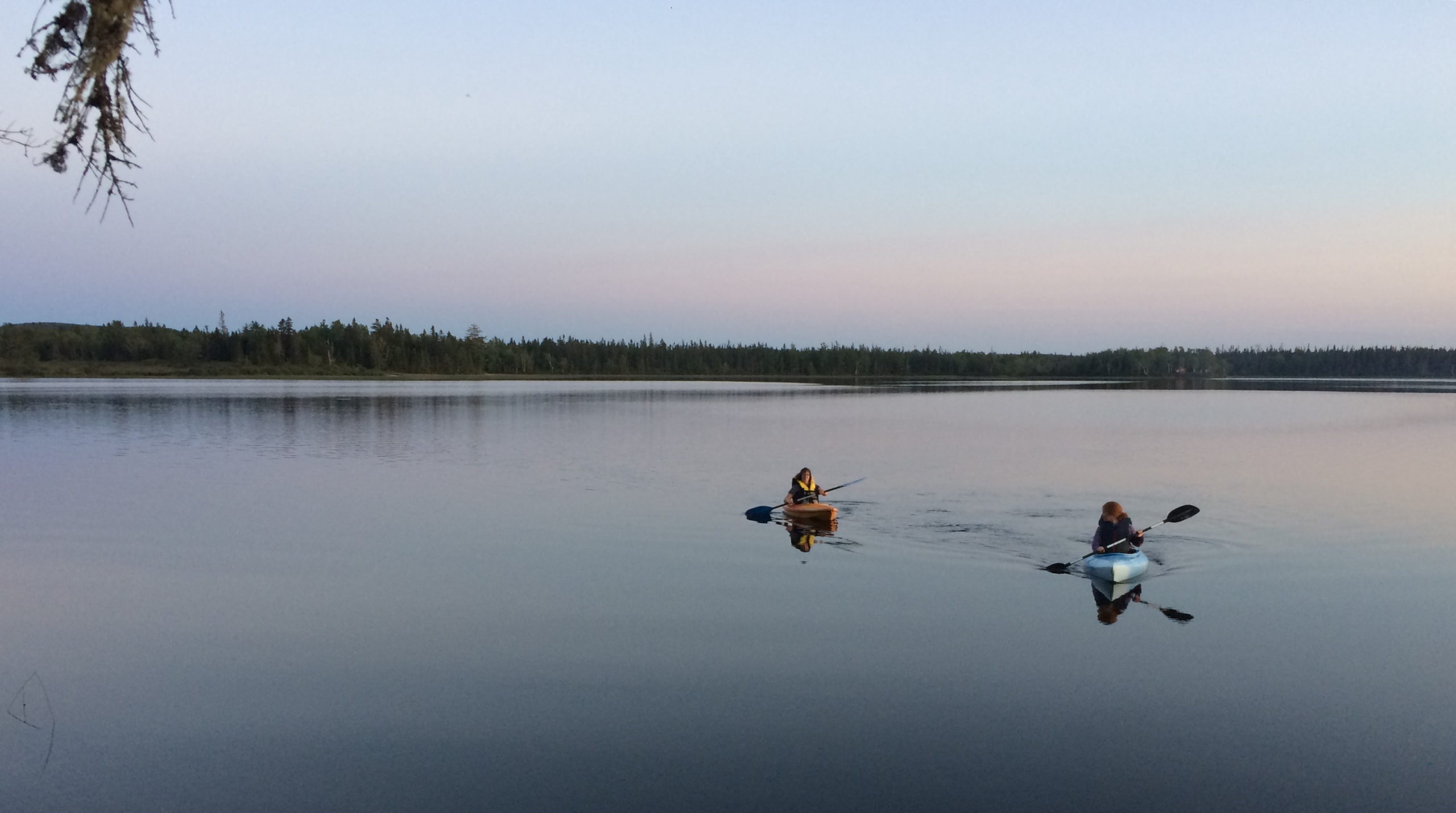 ReimerJ_Students2020_Header (1)