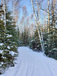 Hiking trail in the winter at Mactaquac Provincial Park 