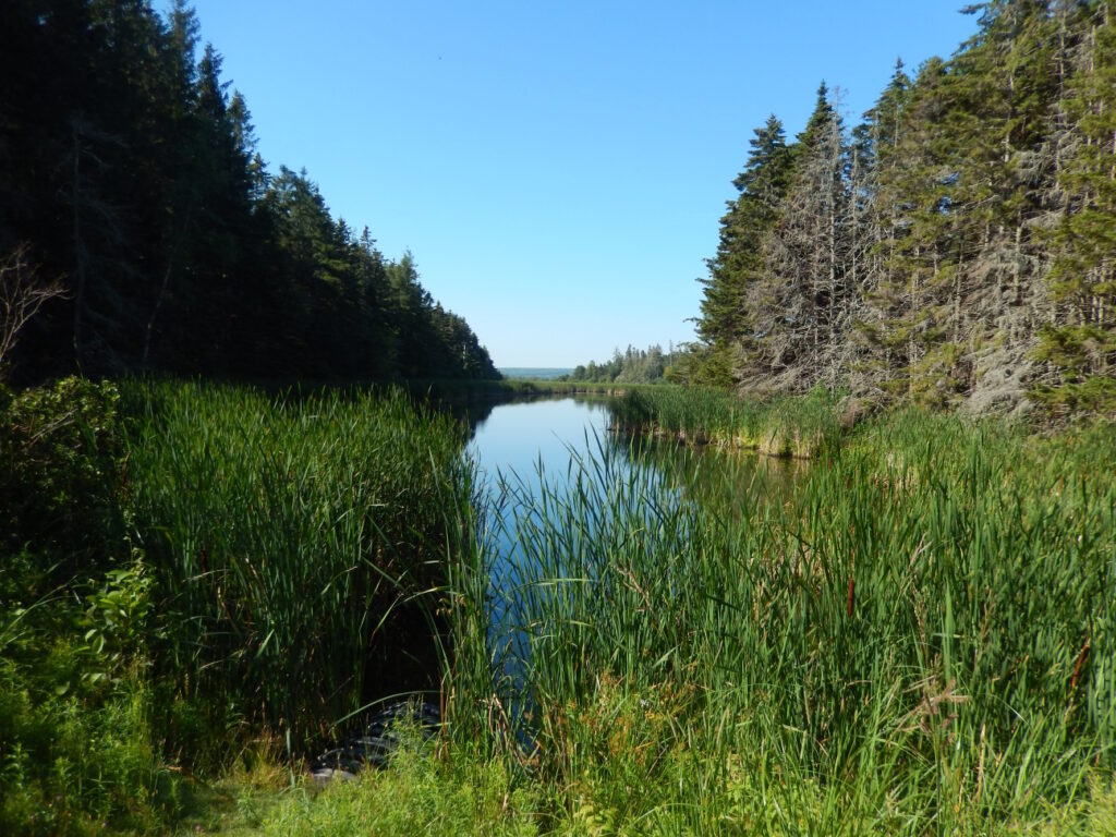 Chignecto Isthmus - CPAWS New Brunswick