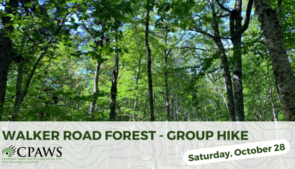 Walker Road Forest Event Page graphic