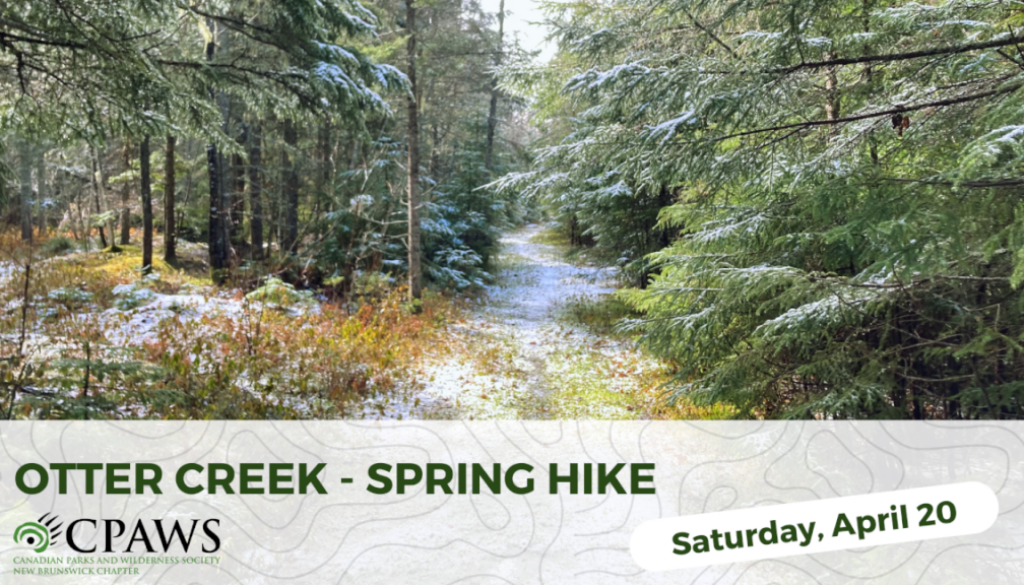 Otter Creek Forest Hike - Event Graphic