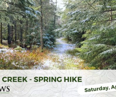 Otter Creek Forest Hike - Event Graphic