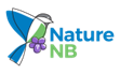 NatureNB