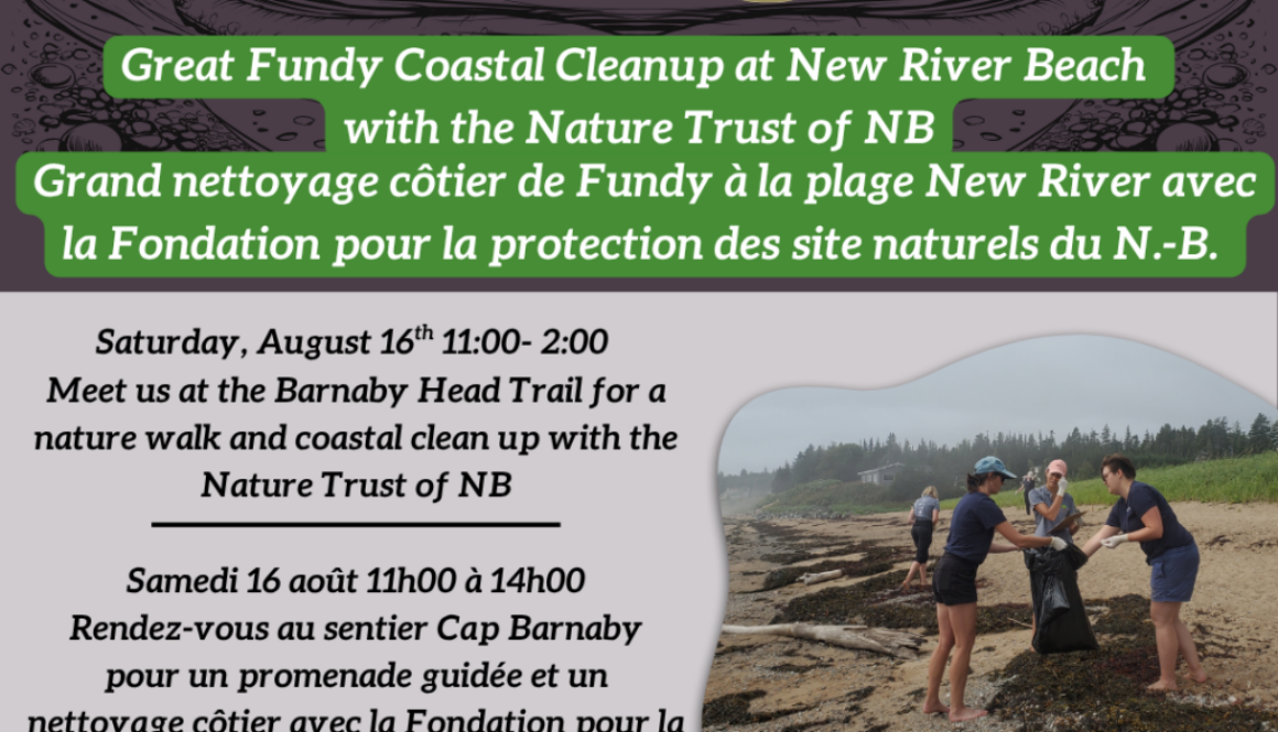 Coastal Cleanup August 16