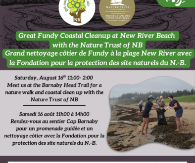 Coastal Cleanup August 16