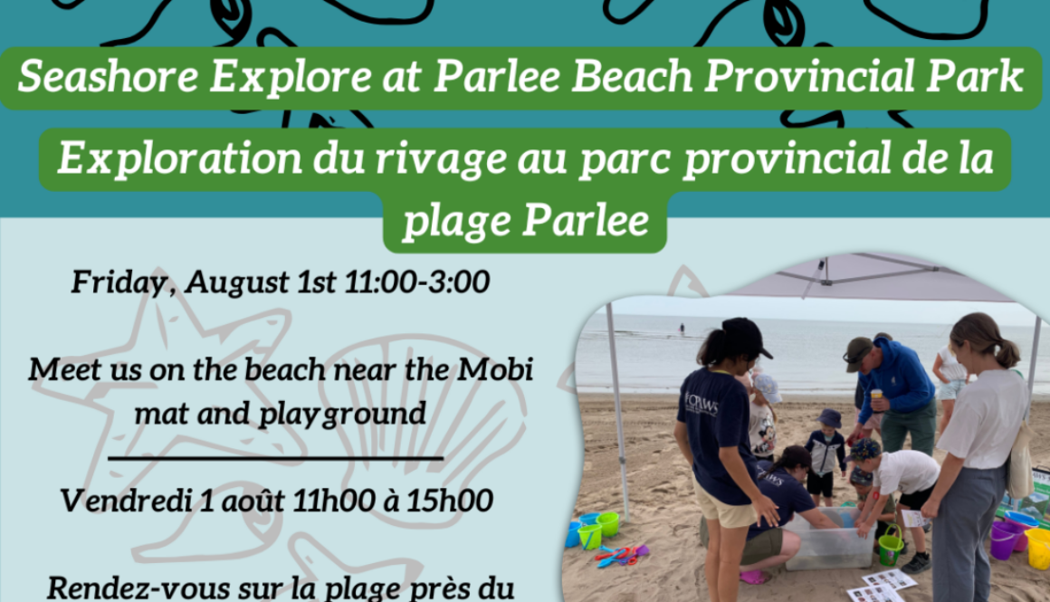 SSE @ Parlee Aug 1