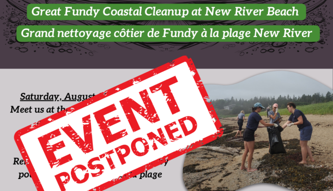 Great Coastal Cleanupdelay