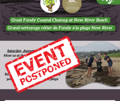 Great Coastal Cleanupdelay