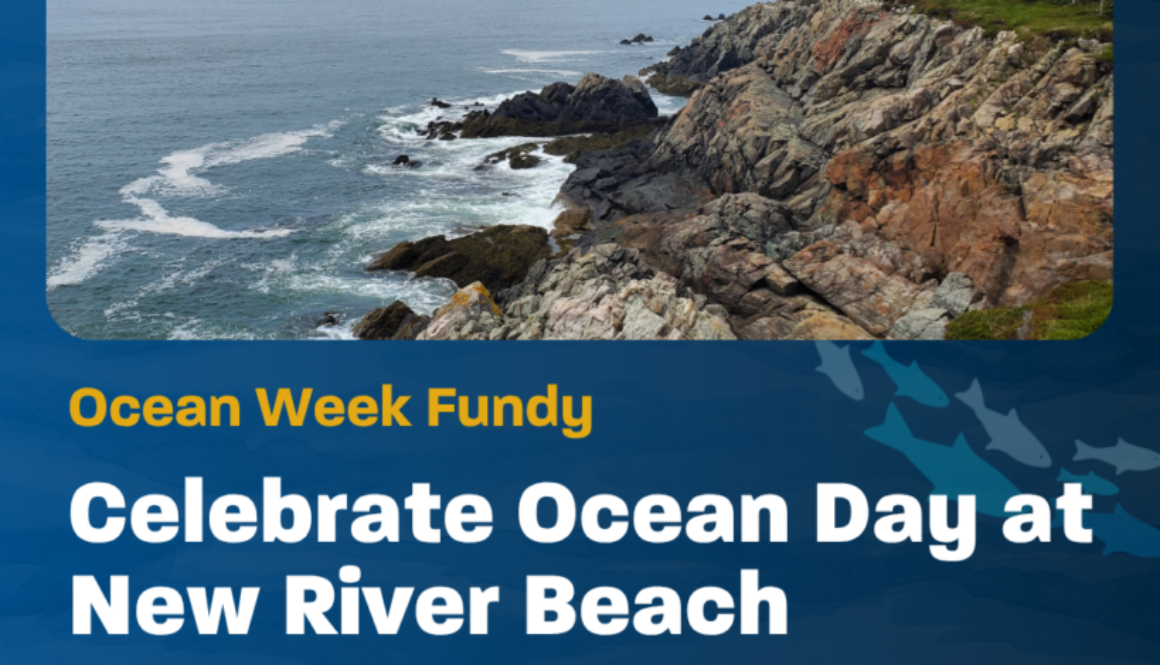 Ocean Day event 1
