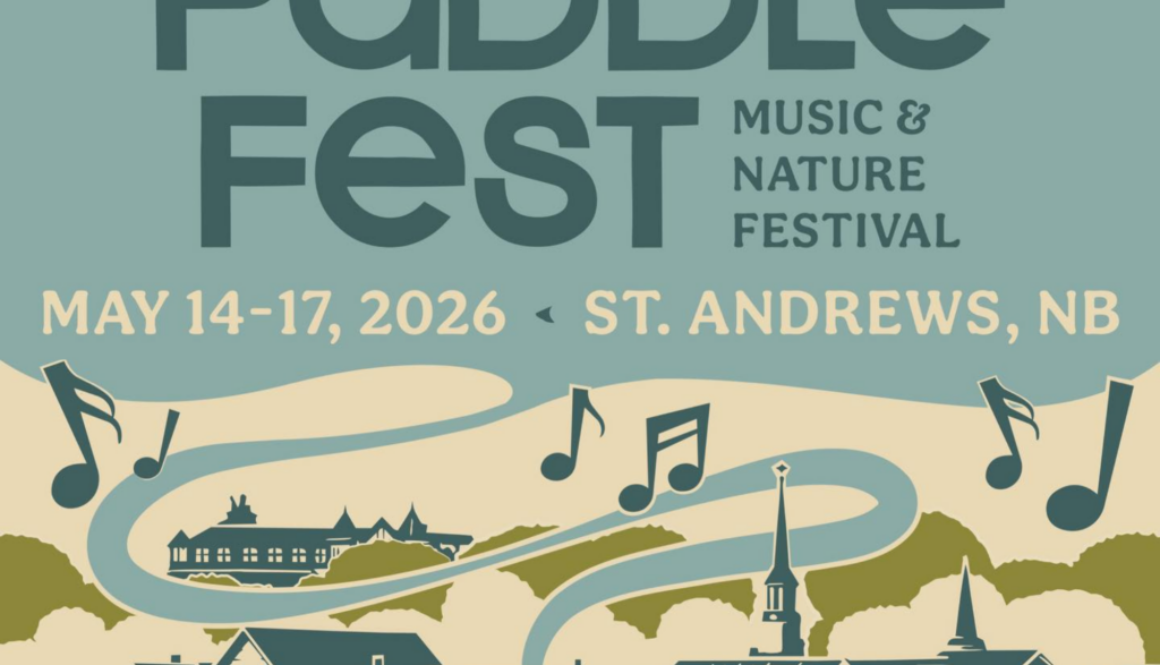 Paddleset logo